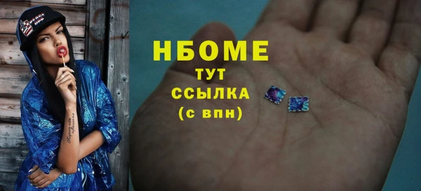 прущие грибы Абаза