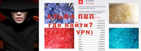 прущие грибы Абаза