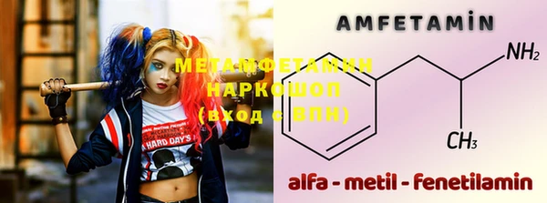 прущие грибы Абаза