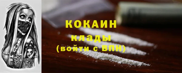 прущие грибы Абаза