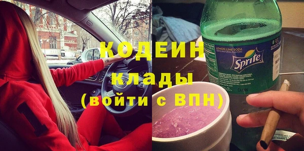 мдпв Краснослободск